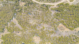 144 Crescent Rd, Fairplay, CO 80440