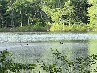 00 County Road 14, Waterloo, AL 35677