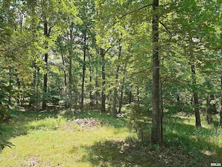 6544 Hickory Trail, Carterville, IL 62902