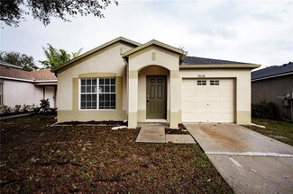 18038 Birdwater Dr, Tampa, FL 33647
