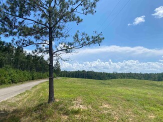 0 Otis Paine Rd, Bethel Springs, TN 38315