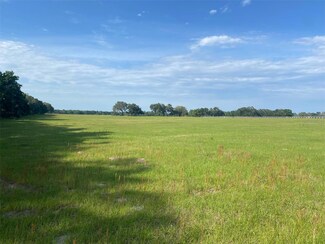 0 NW 163 Terrace, Morriston, FL 32668