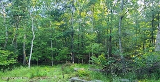 72 & 73 Chippewa Ct, Lackawaxen Township, PA 18435