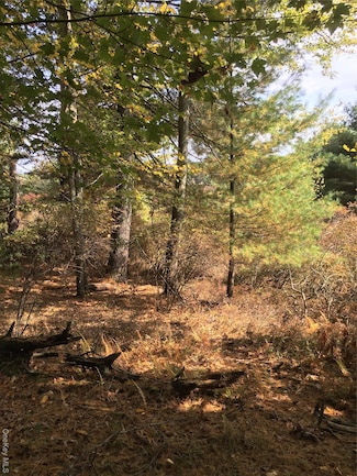 Lot 2A Renee Dr, Delaware Township, PA 18328