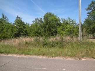 Lot 12 Jacob Michael Dr, McHenry, MS 39561