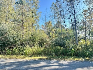 0 S 11 Mile Rd, Linwood, MI 48634