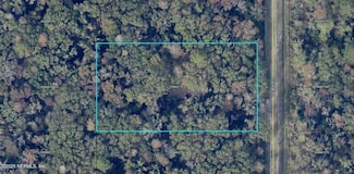 10435 Vaughan Ave, Hastings, FL 32145