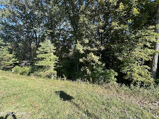0 Hathburn Dr, Rockwood, TN 37854