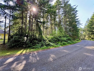 11013 Cascade Place, Anderson Island, WA 98303
