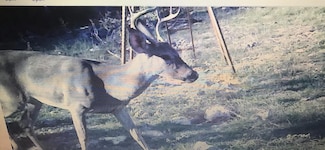 0 Fairview Rd Unit 145, Rocksprings, TX 78880