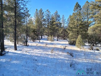 TBD Little Arrow Trail, Grants, NM 87020