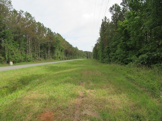 County Road 41, Arley, AL 35541