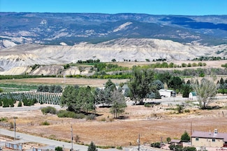 21045 Nowhere Rd, Eckert, CO 81418