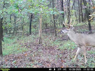 00 Pope County Rd, Golconda, IL 62938