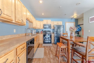 180 S Avion Dr Unit 101, Crested Butte, CO 81224