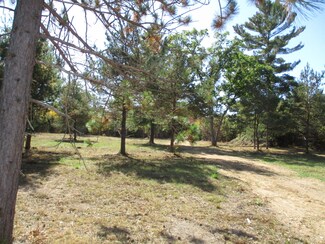 0 Willowway Dr Unit Parcel 2, Lewiston, MI 49756