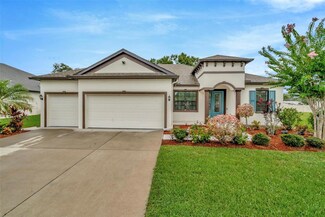 11026 Brahman Ranch Cir, Riverview, FL 33578