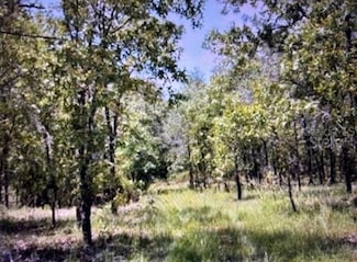 3830 NE 127th Ct, Williston, FL 32696