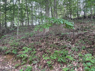 0 Eagle Ridge Pvt Rd Unit 1311645, Huntsville, TN 37756