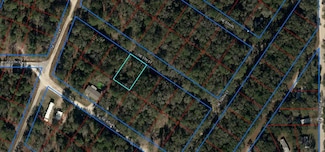 LOT 13 NE 5th St, Williston, FL 32696
