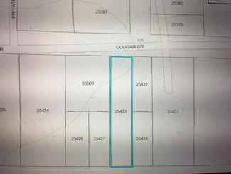 456 Cougar Dr, Buna, TX 77612