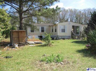 314 Alexander St, Clio, SC 29525