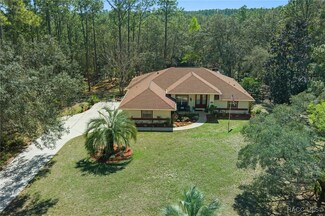 1124 W Pearson St, Hernando, FL 34442