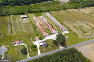 6518 Friendship Rd, Pittsville, MD 21850