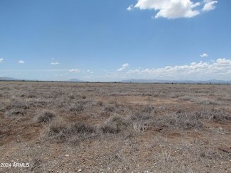 TBD Lot 423 Cochise College Park 6 -- Unit 423, Douglas, AZ 85067