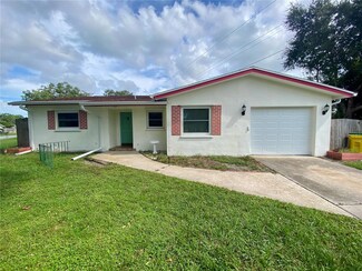 6897 298th Ave N, Clearwater, FL 33761