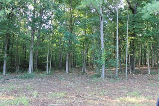 TRACT 2 Lick Creek Rd, Michie, TN 38357