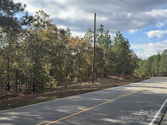 0 Fox Rd, Marston, NC 28363