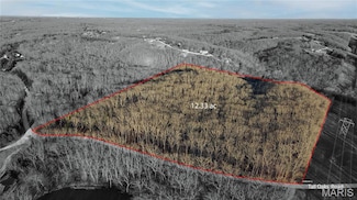 22501 Tall Oaks Rd, Pinckney Township, MO 63383