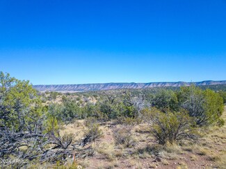 56104 Bisnga Rd Unit 4554, Seligman, AZ 86337
