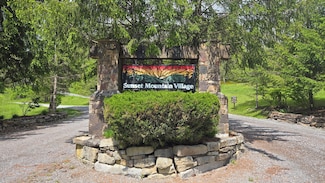 1017-1021 Sunset Mountain Village, Slatyfork, WV 26291