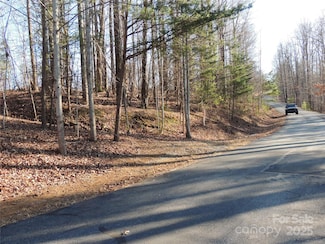 29 Summit Pkwy, Bostic, NC 28018