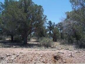 13590 Indian Pony Trail, Williamson, AZ 86305