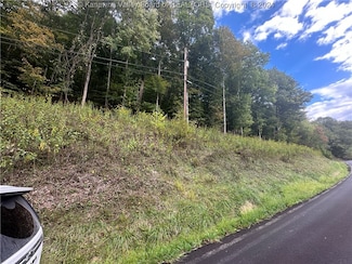 0 Cox's Fork Rd, Danville, WV 25053