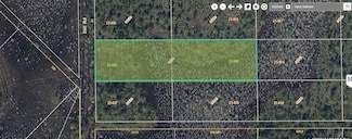 27 Dill Rd, Bithlo, FL 32820