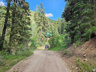 30 E Pine Creek Rd Unit 30, Mount Pleasant, UT 84647