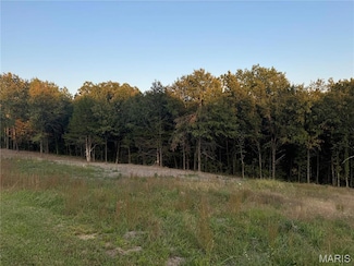 130 Bristol Ridge Dr, Clark Township, MO 63379