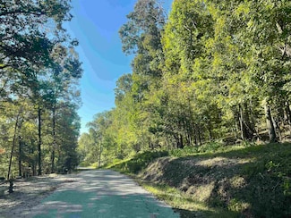 LOT 50 Crow Ln, Bath Springs, TN 38311