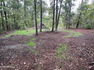 Lot 8 Woodberry, Grimesland, NC 27837