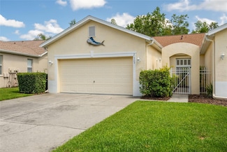 21209 Diamonte Dr, Land O Lakes, FL 34637