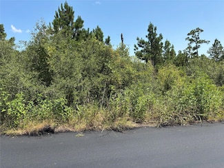 106 Homonu Ct, Bastrop, TX 78602