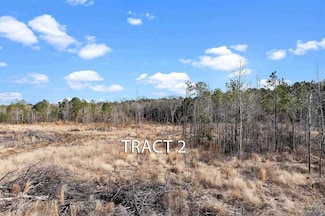 0 Baker Bridge Rd, Marshall, TX 75670