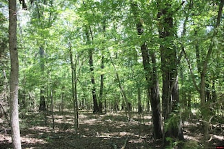 Lot 15 Mc 7075, Fairview, AR 72634