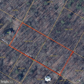 0 Grizzly Rd Unit WVHD2002892, Mathias, WV 26812