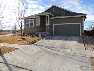 12101 Village Cir W, Brighton, CO 80603