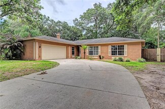 910 Tangelo Place, Brandon, FL 33510